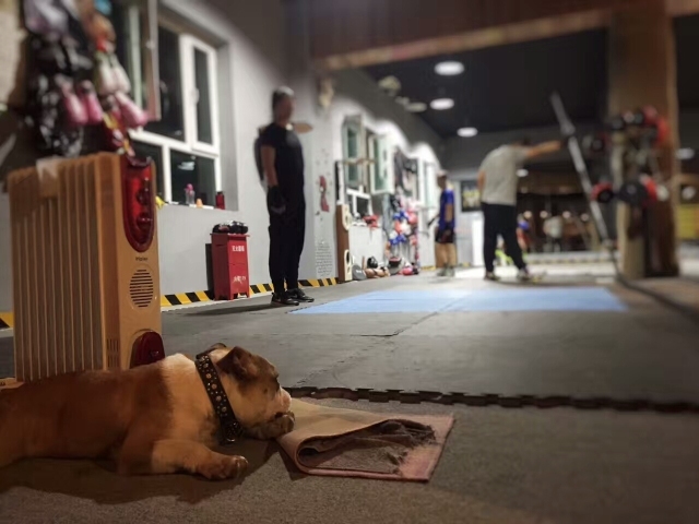 拳击选手赛后落泪，背后故事感人