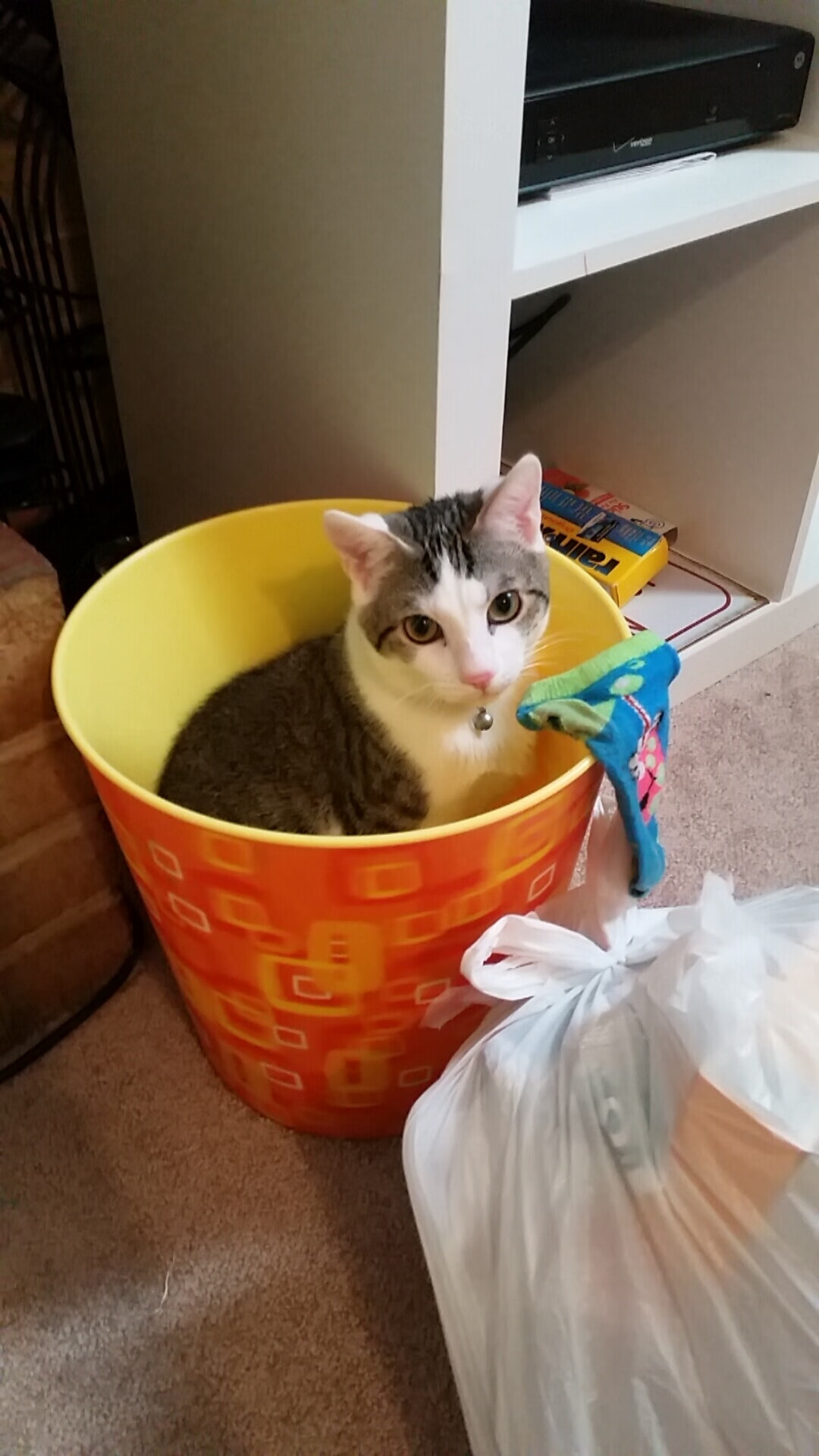 绝境战神!F1年度争冠夜,克莱一人扛起整支车队的山呼海啸