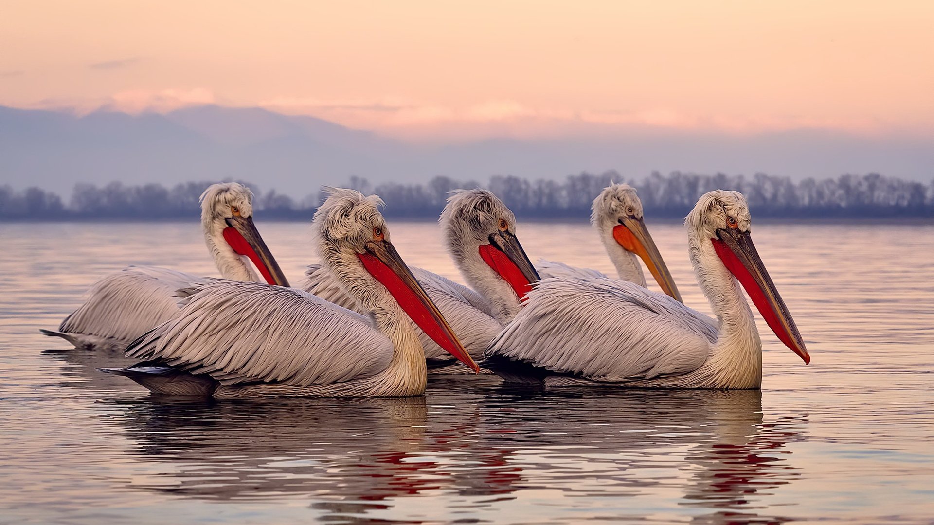 极速与对抗,F1巴林揭幕战与火箭队加时险胜的双重奏