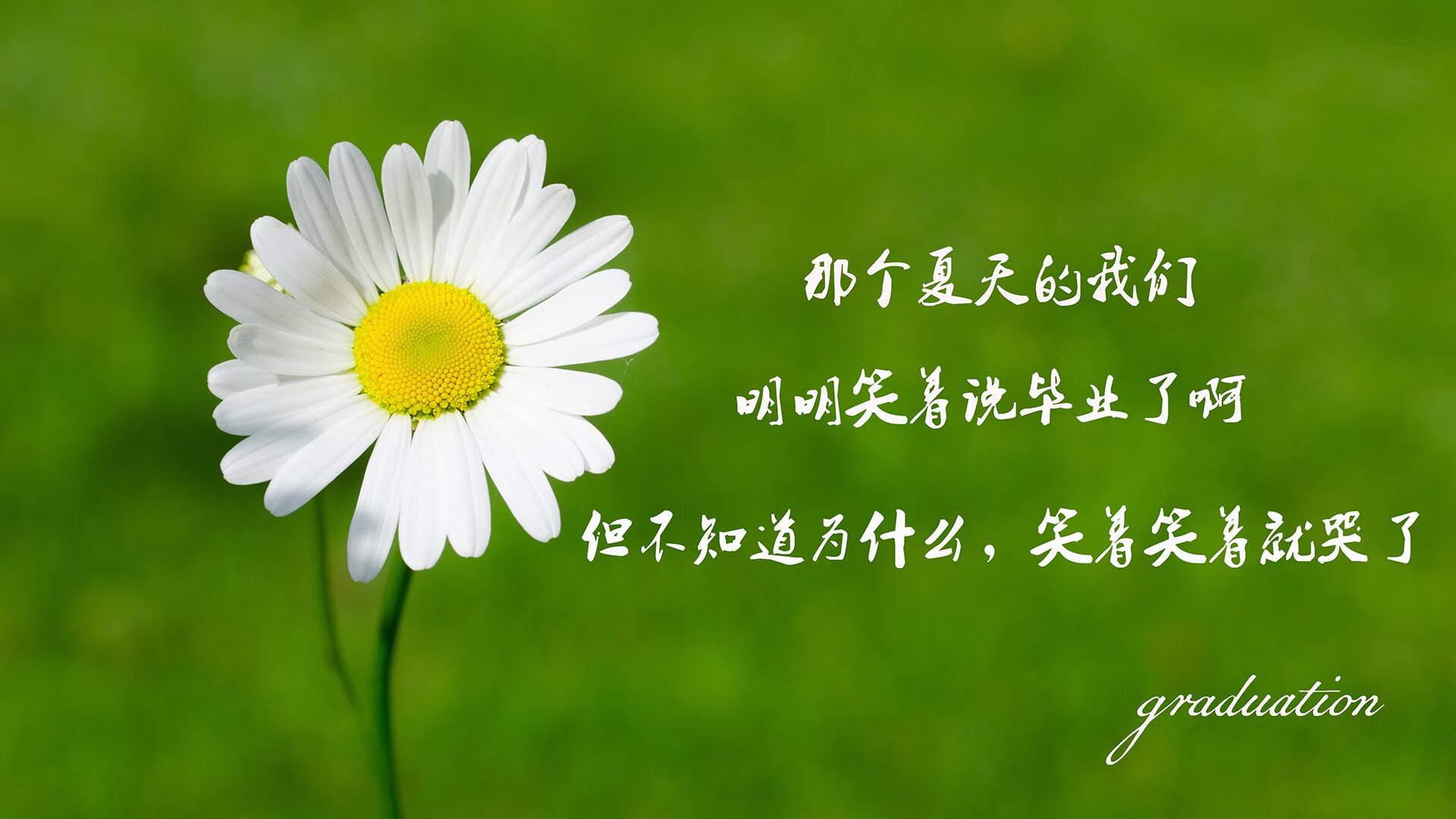 凯文·杜兰特同时出现在两个赛场,时空折叠的体育奇迹