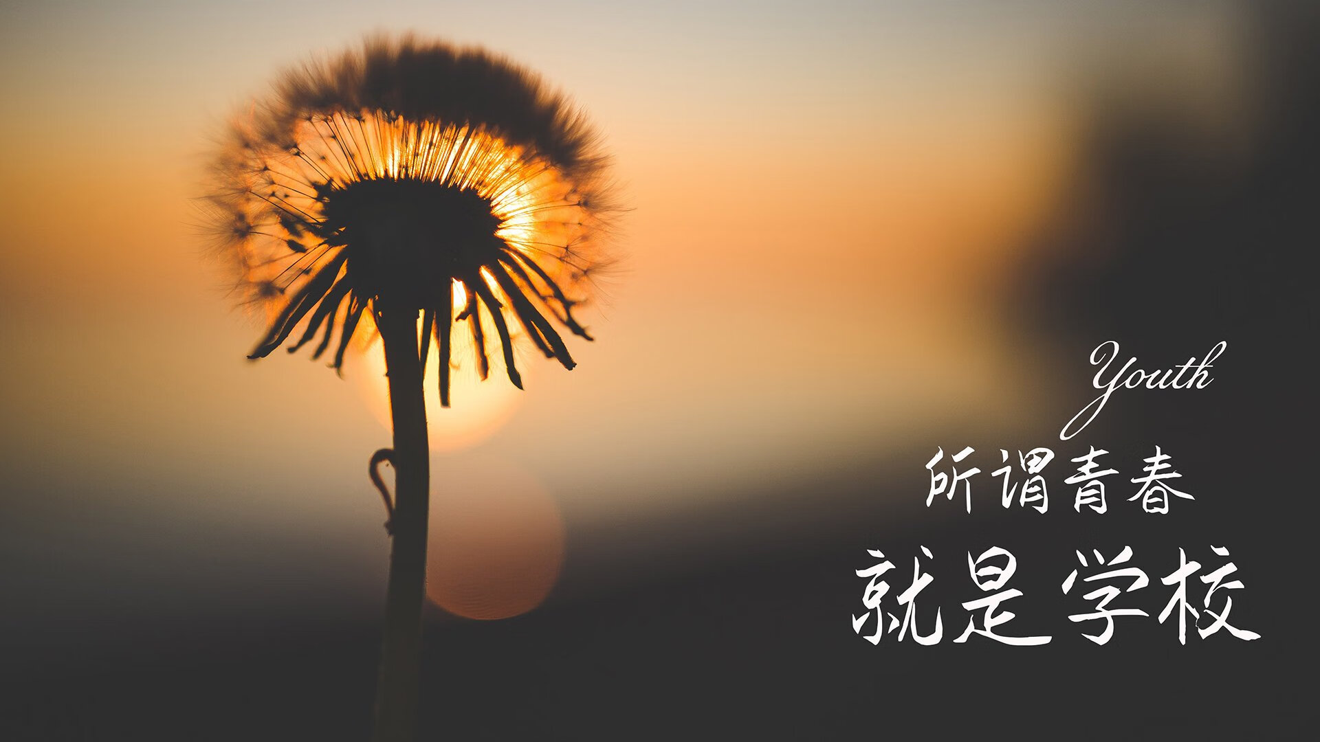 很有张力！唯一性的要求，意味着我们不能只写一场普通的比赛，而要挖掘出它不可复制的历史、情感和战术价值。我们先来构思一个能抓住这种唯一感的标题