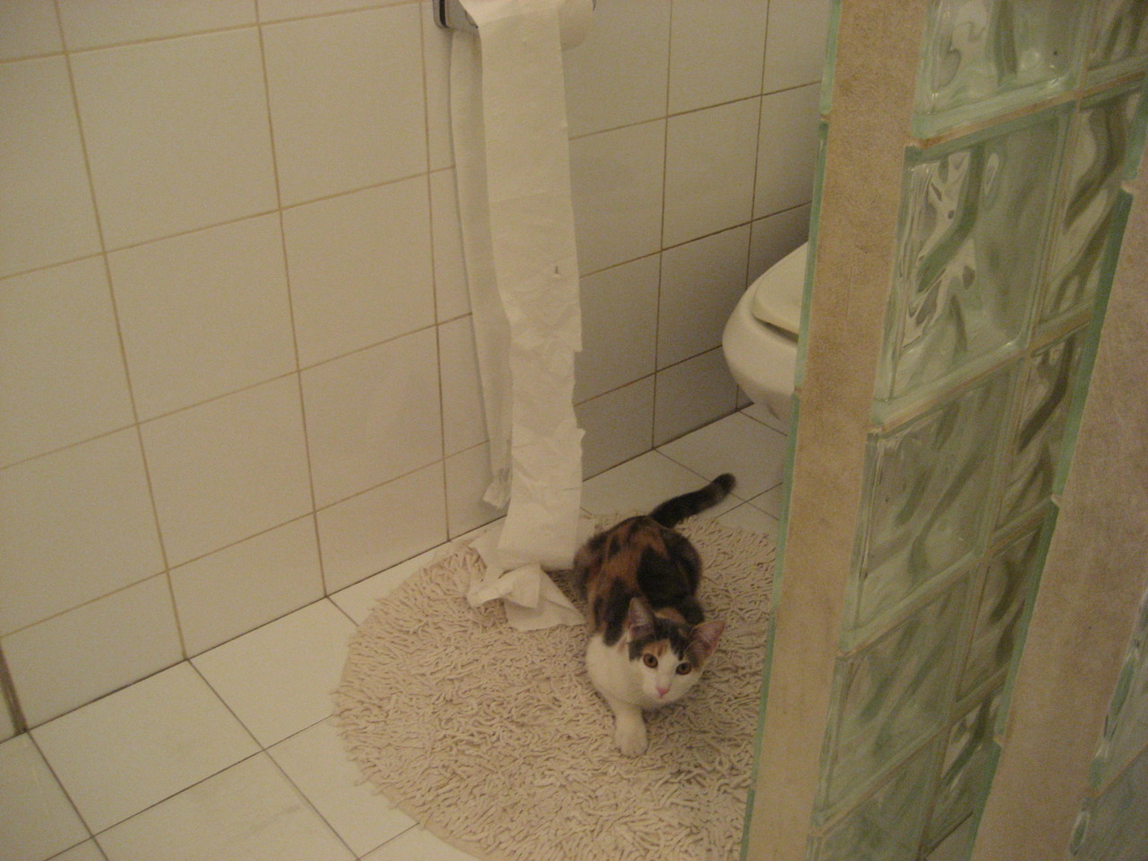 布鲁塞尔的红蓝狂想曲，阿诺德妙手布阵，比利时1-0绝杀意大利，H组生死战上演铁血逆转